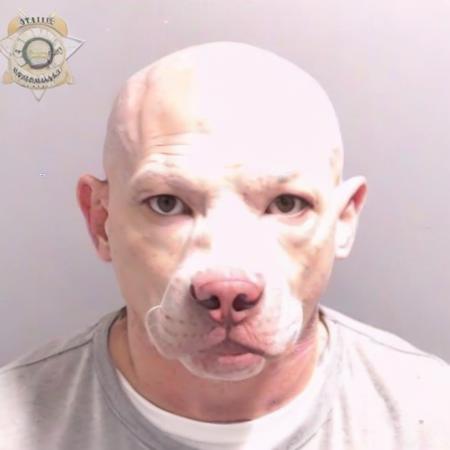 02843-238902644-_lora_PE_MugShotV2_1_ PEMugShot, mugshot,_pitbull.png